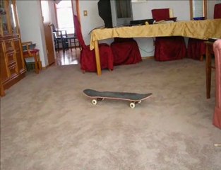 skate board stop motion