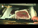 Taranto - Operazione 'Carni Fresche', carni macellate clandestinamente