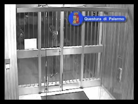 Palermo - Fatta luce sui colpi della gang della 'Palermo Bene'
