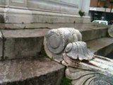 Aversa - La statua di Cimarosa sta crollando