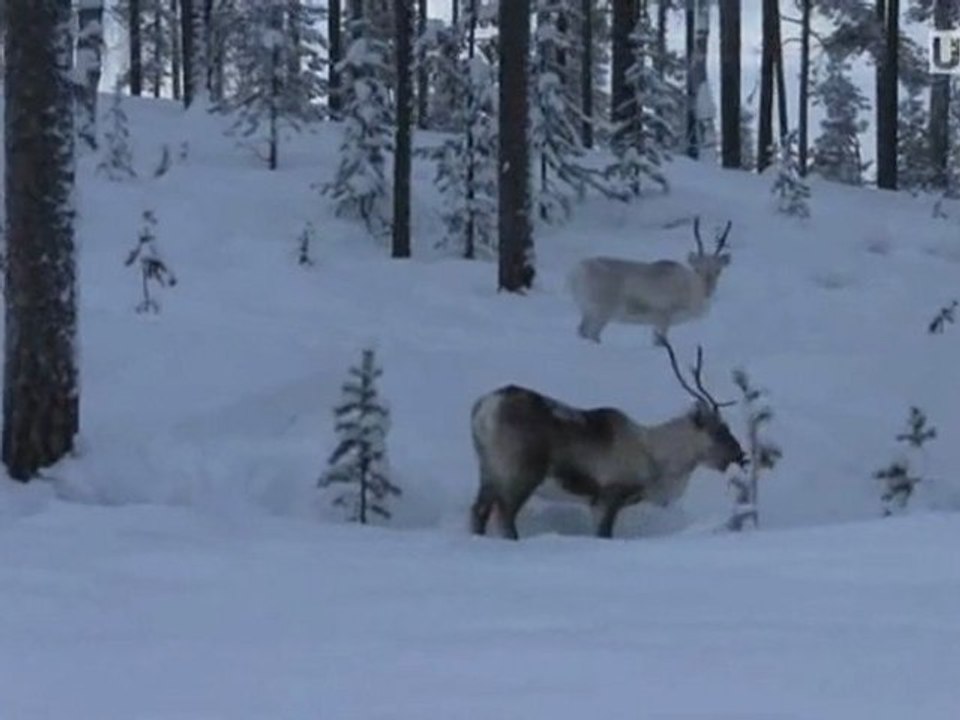 Reifen aus der Weissen Hölle