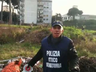 Download Video: Aversa - Rifiuti edili all'interno del Parco Pozzi