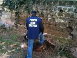 Aversa - L'ufficio ecologia della Polizia Municipale mai aperto