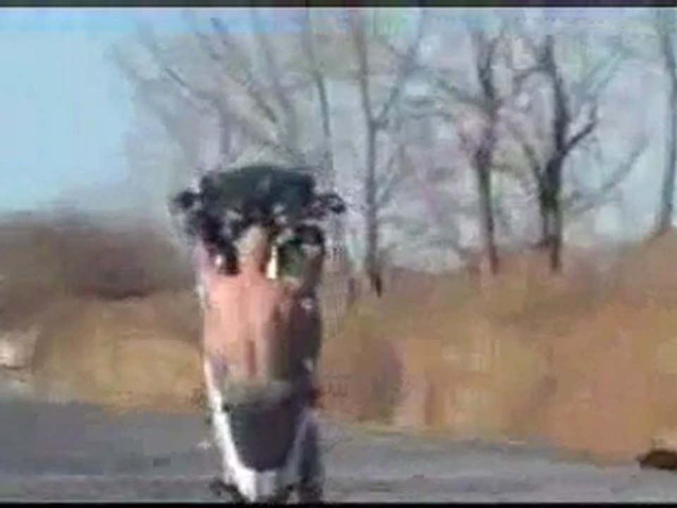 street bike stunts