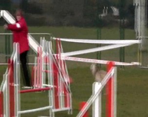 A-Lise et Volna Carcassonne 05-12-2010