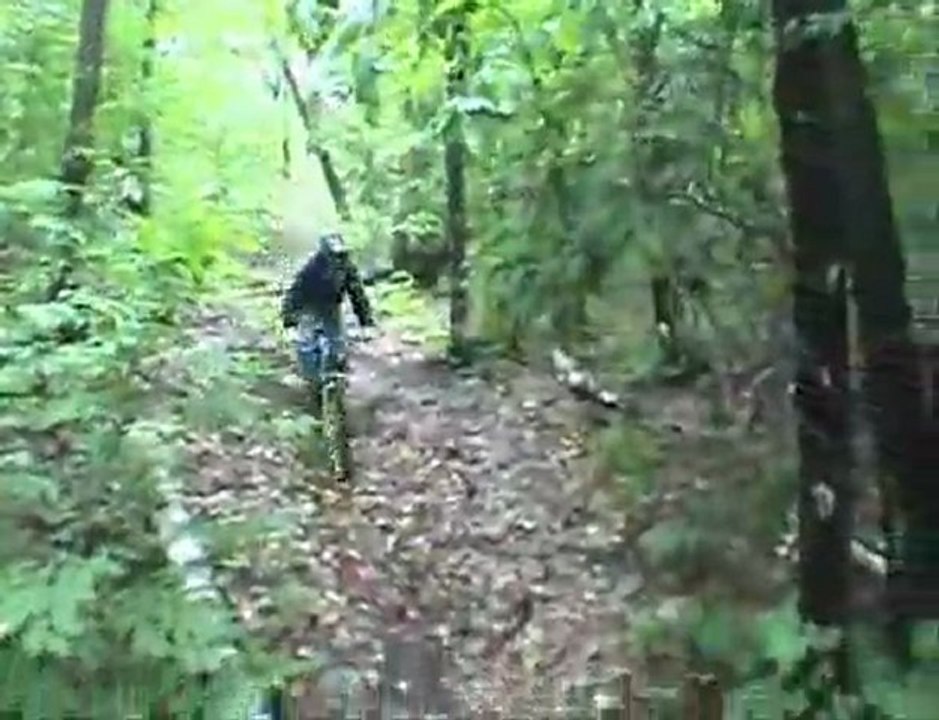 cottage trails