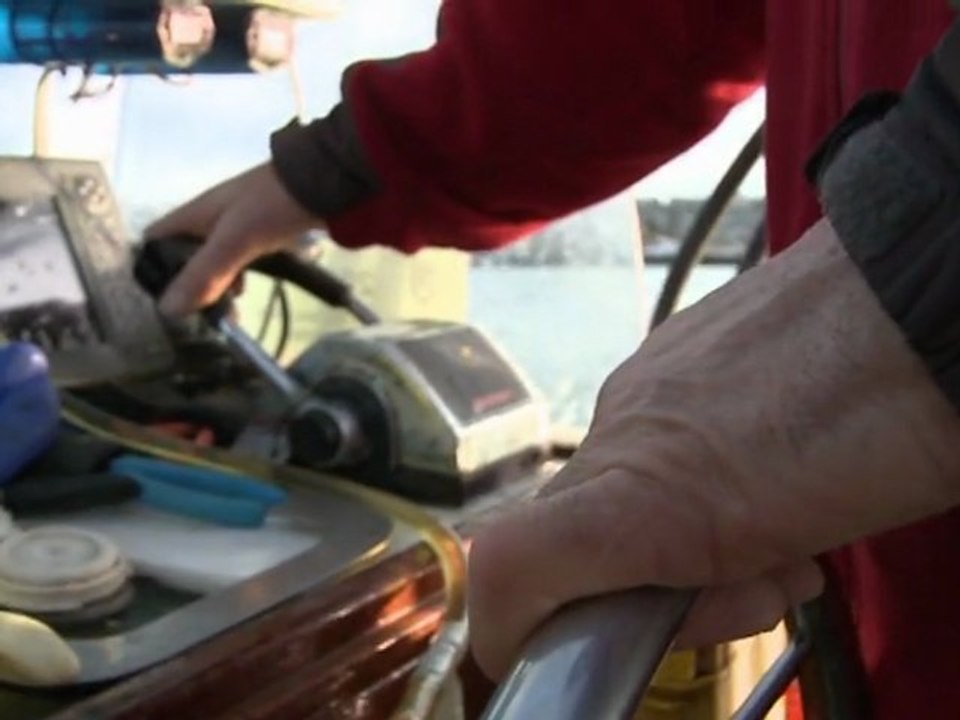 Kalifornien will Meerestiere vor Menschen schützen