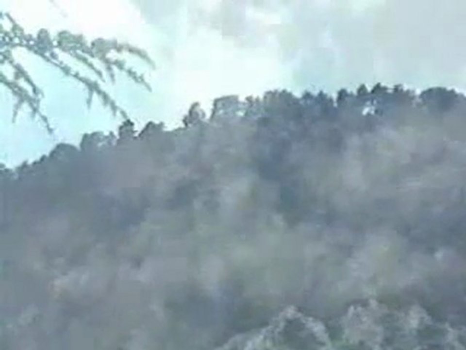 ÇAMDAĞI