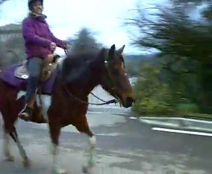 Raya 1er trot en exterieur montée, 20 février 2011