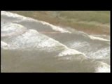 Louisiana - L'onda di greggio si allarga