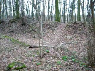 dirt terrain de cross