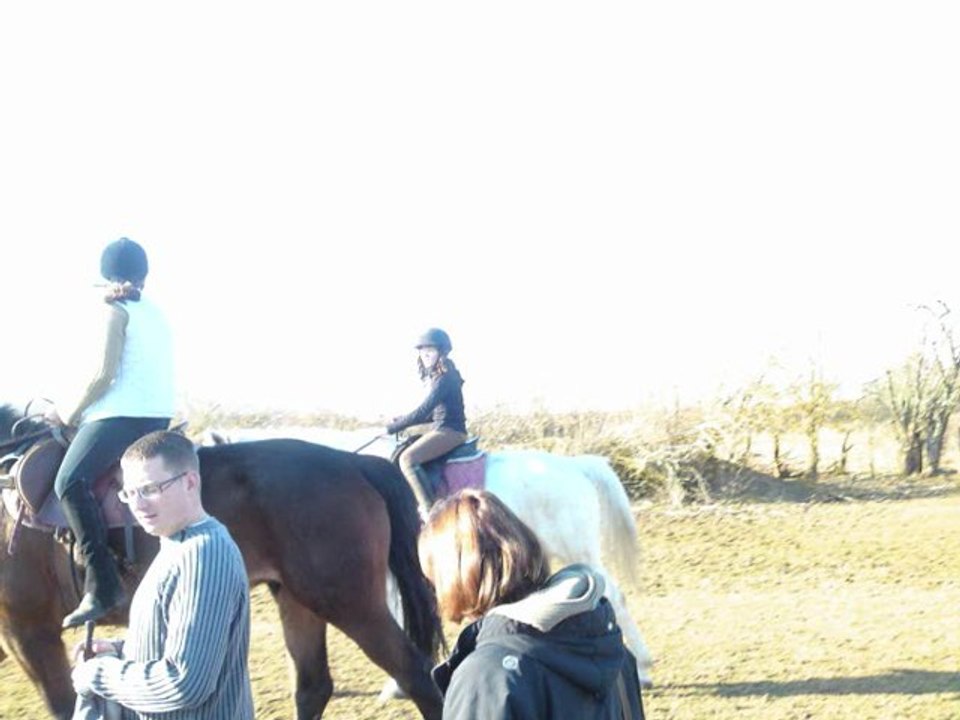 L'Equitation toute une Passion