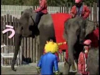 Giappone - Elefanti contro la sfortuna