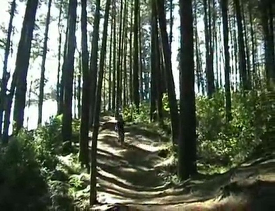Ben Kamp