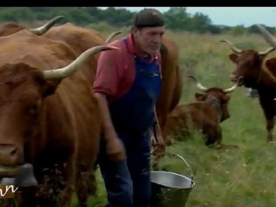 tout un fromage 1  tf1