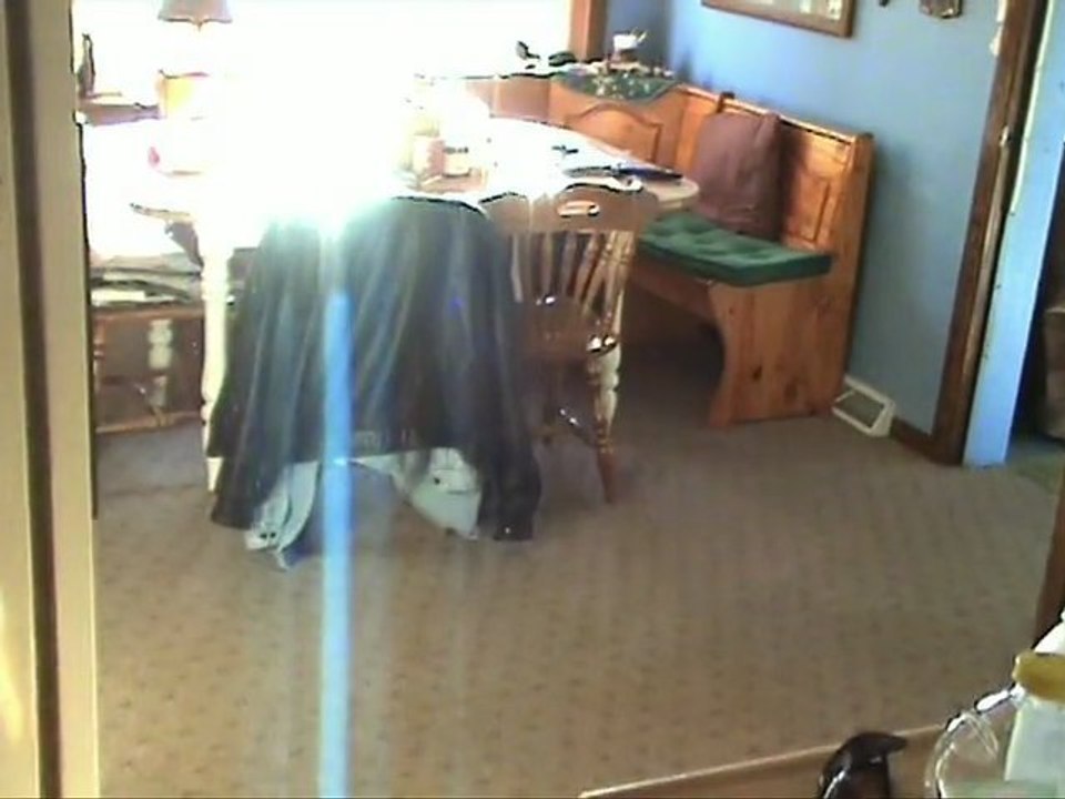 Windfall (2010) TRAILER (DVD)