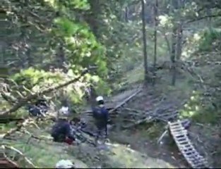 Freeriding