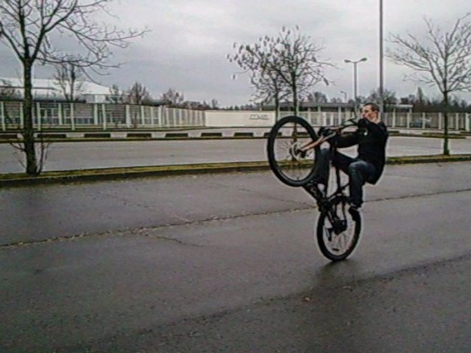 Stunt