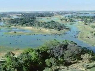 Doğadan Mükemmel görüntüler..