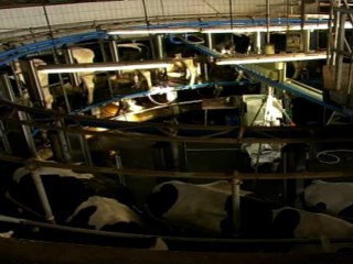 Un monde de machines, du 2 mars au 22 mai 2011