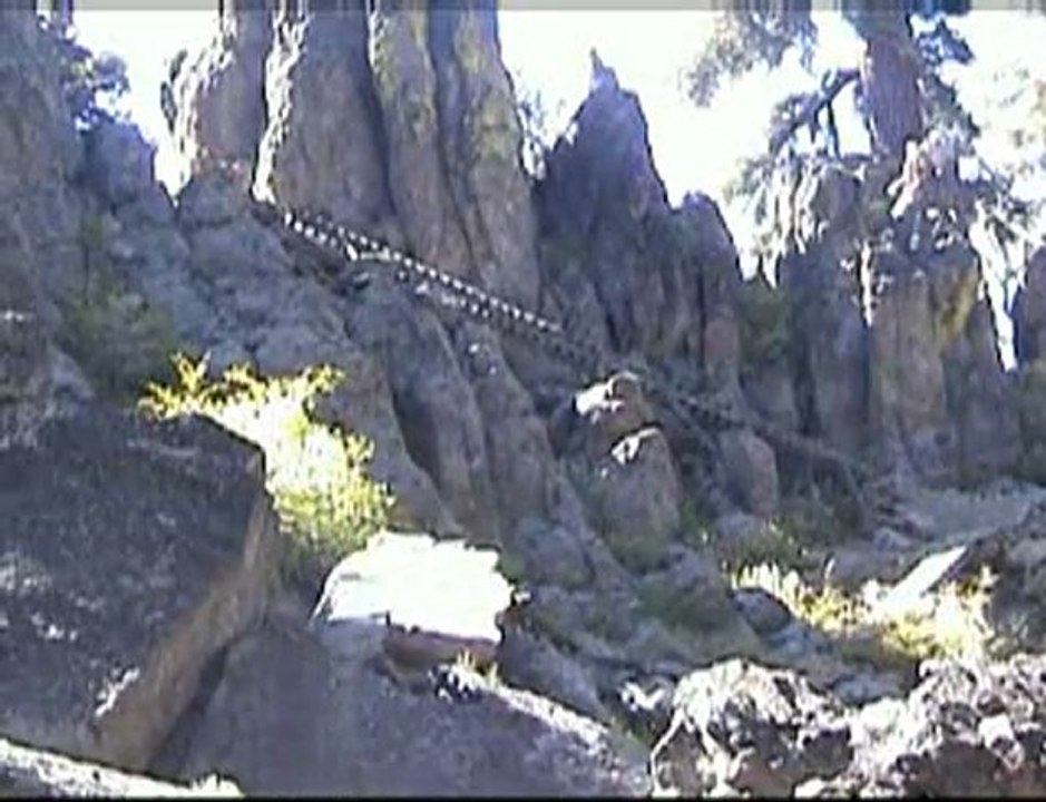 Tahoe freeride