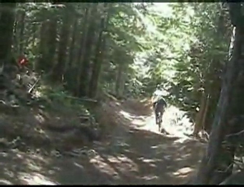 06 season V2