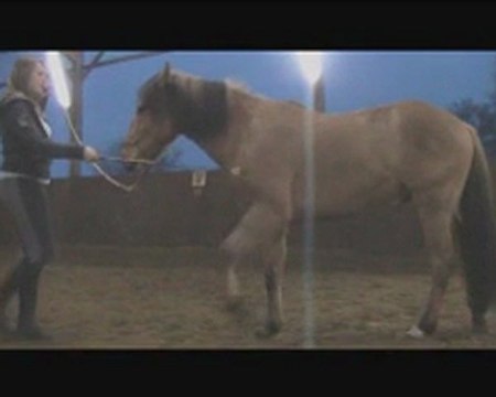 SUN - Séance Ethologie 19 février 2011