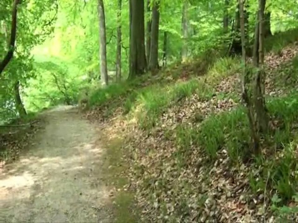 Mes deux fifilles whippet