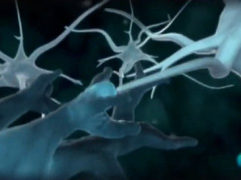 Cerebro y audicion: Metodo Tomatis