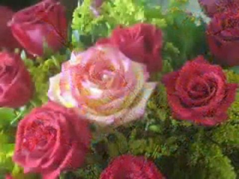 Uçak, babama selam söyle