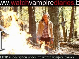 Vampire Diaries season 2 episode 15 The Dinner Party HQ