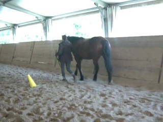 16.02.2011 Degré 2 Marie-Amance avec Ténébra