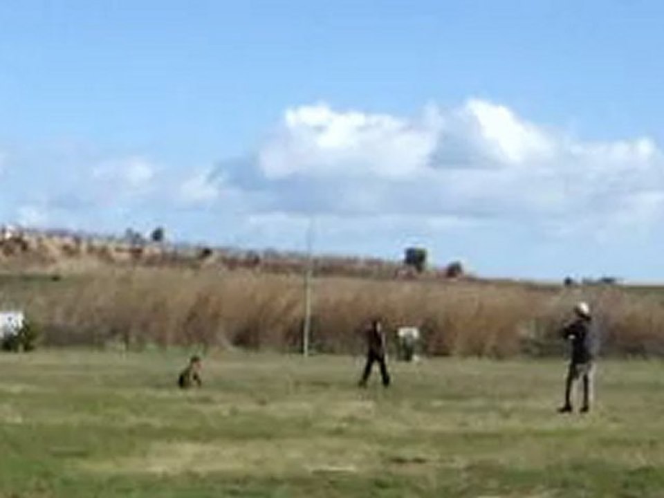 Concours RCI 1 Desgayls Obéissance positions