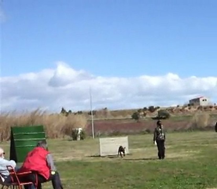 Concours RCI 1 Desgayls Obéissance saut de haie