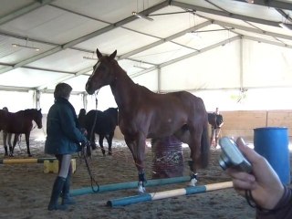 16.02.2011 Degré 2 Tarès