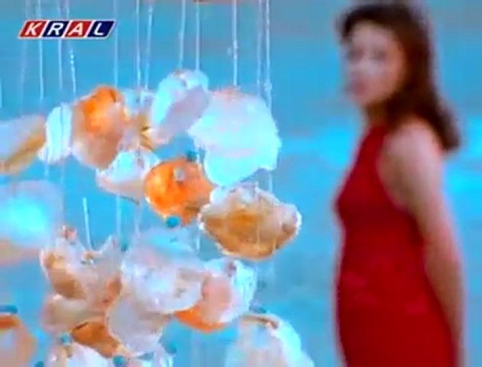 Sibel Bilgiç alışamadım