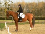 Nicolette sur Hassan-20.02.2011.dressage club3-ATHLaval-