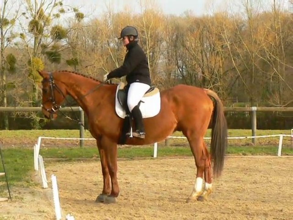 Nicolette sur Hassan-20.02.2011.dressage club3-ATHLaval-