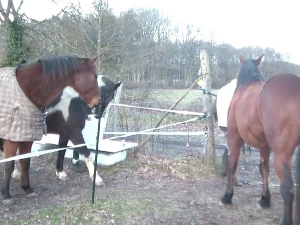 16.02.2011 Retour du degré 2 La Cense