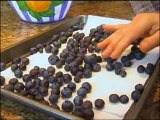 Santa Rosa Restaurants | Storing Blueberries