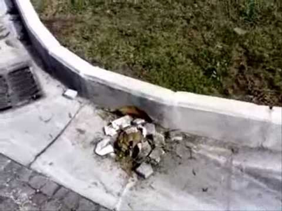 Aversa - Pavimento divelto nel cimitero