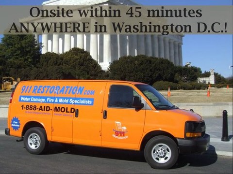 Mold Inspection Removal Washington D.C. - Call (888) 243-6653