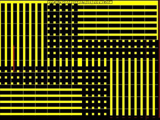 Monarch=King & Profit Monarch is King