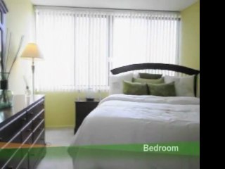 The Pavilion Apartments in Chicago, IL 60656