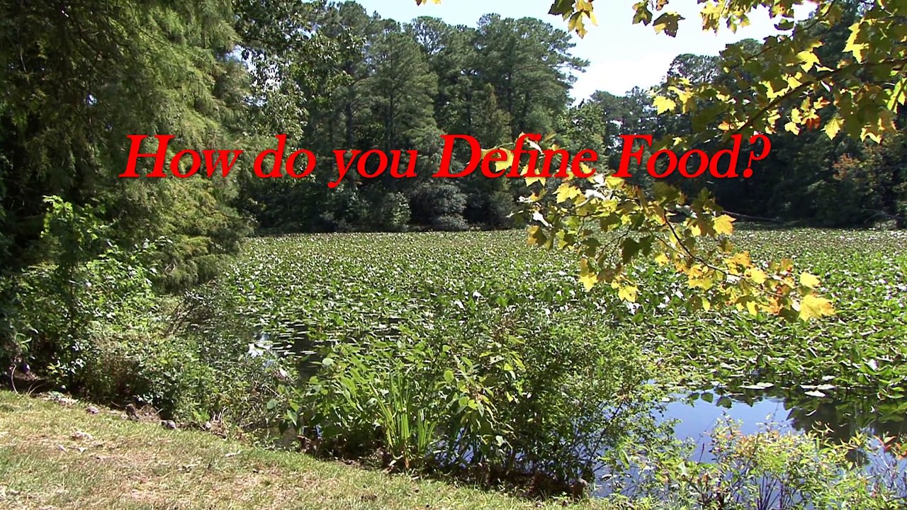 How do you define food?