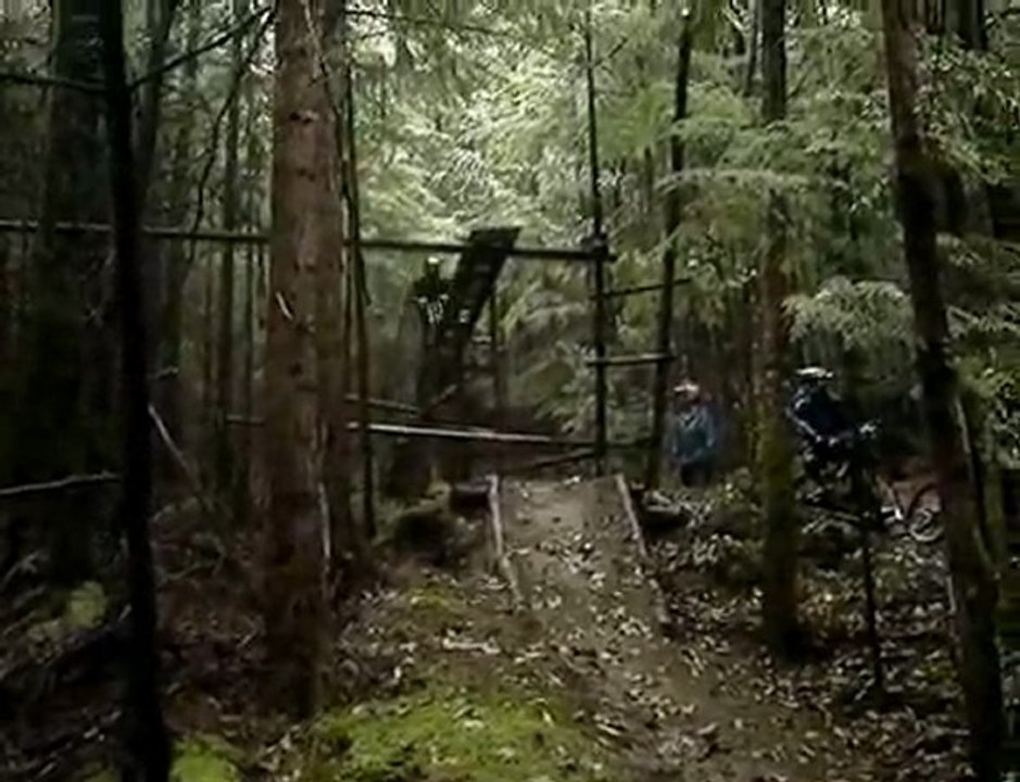 Metal Rotor 2