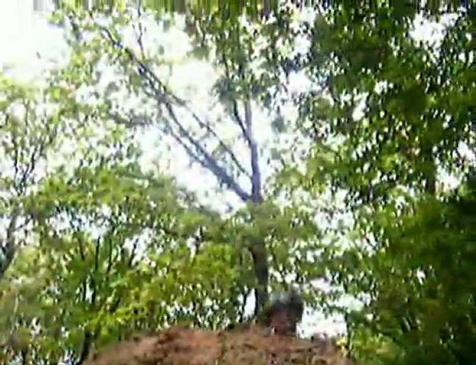 Thom's bikevideo