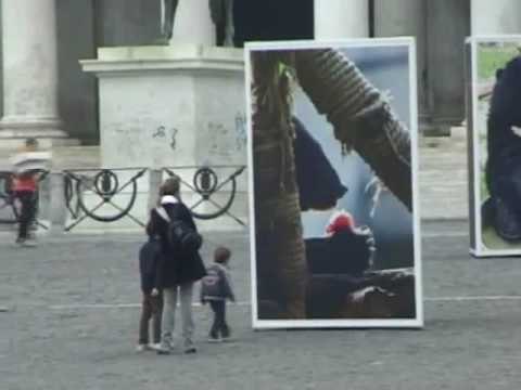 Napoli - Mostra fotografica Save me from Sickening medicine