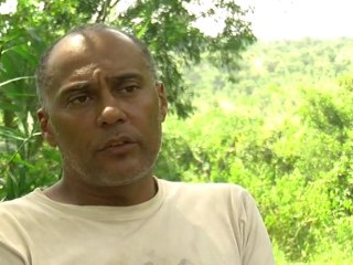 Arabic-Web-Making money from DRC's forests