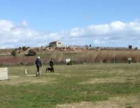 Concours RCI 1 Desgayls Obéissance en avant